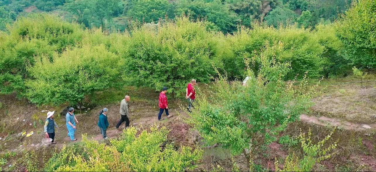 图片关键词 图片关键词