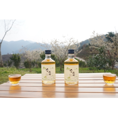 10°又见西岭青梅酒